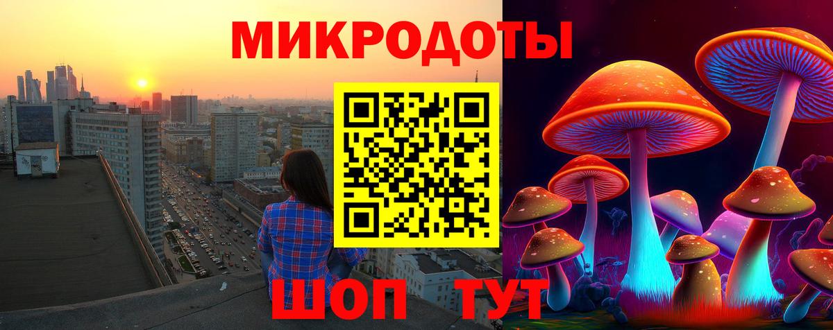 Галлюциногенные грибы прущие грибы Ивантеевка
