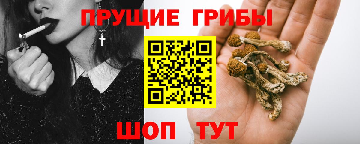 Галлюциногенные грибы Magic Shrooms  дарнет шоп  Ивантеевка  Вход с VPN 